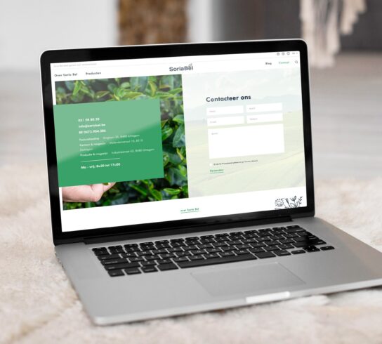 Soria-Bel-Website-Webdesign
